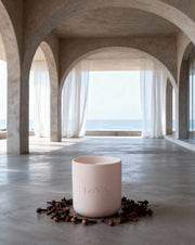 LoYA Clove – Soft Blush Jar, Rich Brown Wax