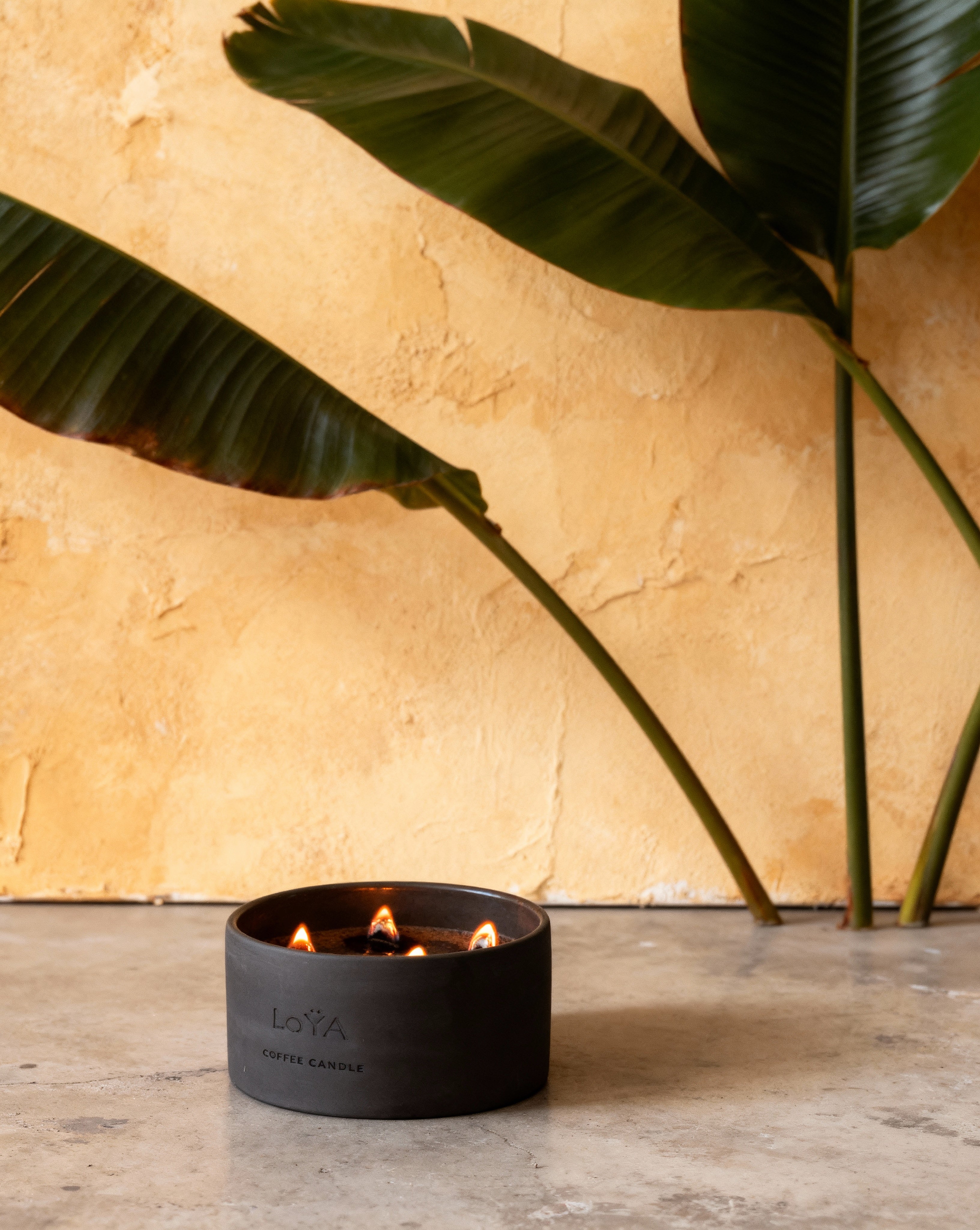 LoYA Coffee Candle with Frankincense oil - 850g