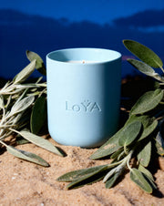 LoYA Sage – Powder Blue Jar, Muted Moss Green Wax