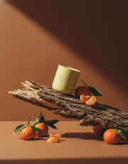 LoYA Tangerine – Buttery Pastel Yellow Jar, Burnt Orange Wax